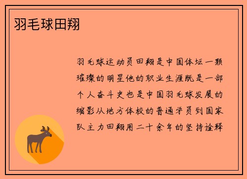 羽毛球田翔